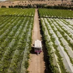 Em ano de PER, Vale da Rosa aumenta a produção