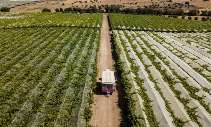 img_900x560uu2025-01-17-19-52-52-494241