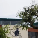 Plano de recuperação da Loja do Gato Preto aprovado com perdão de 40 milhões